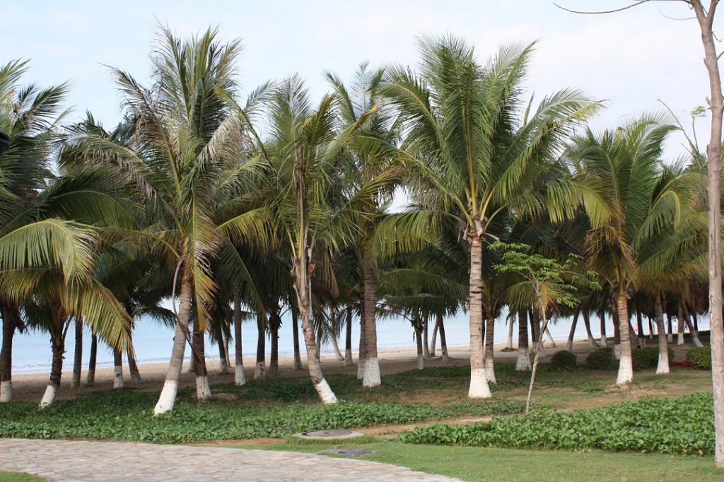 Китай 2010 088.jpg